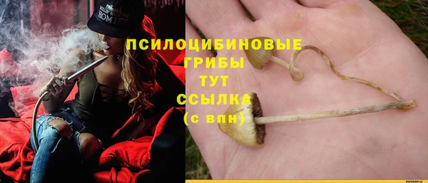 прущая мука Белоозёрский