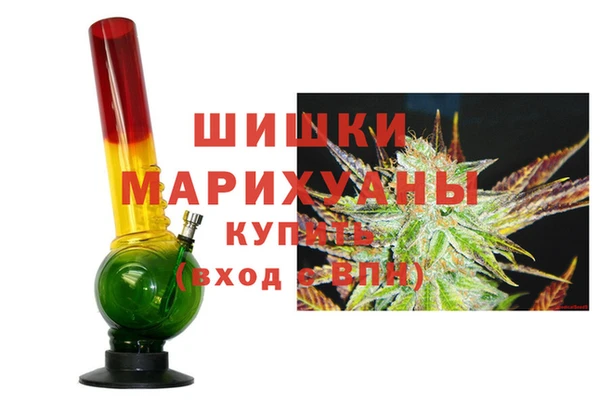 сатива Белокуриха