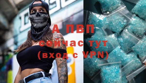 сатива Белокуриха