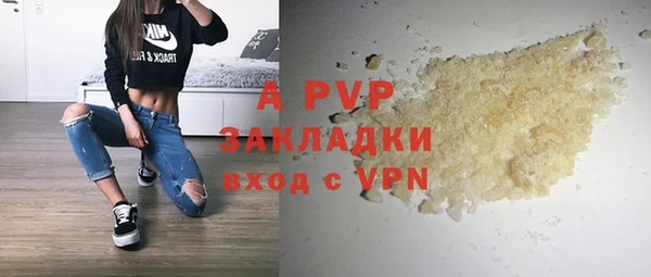 сатива Белокуриха