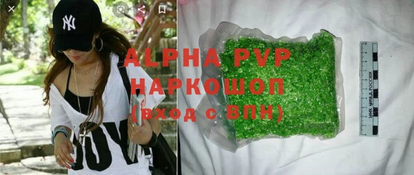 сатива Белокуриха