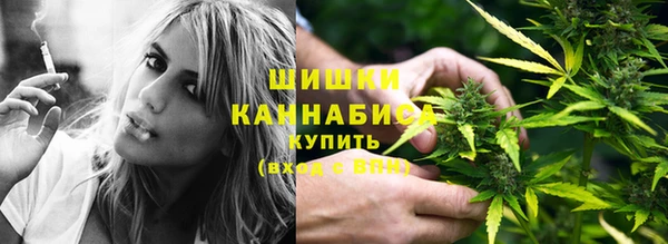 сатива Белокуриха