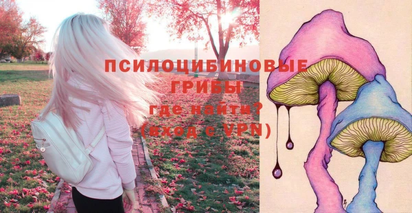 сатива Белокуриха