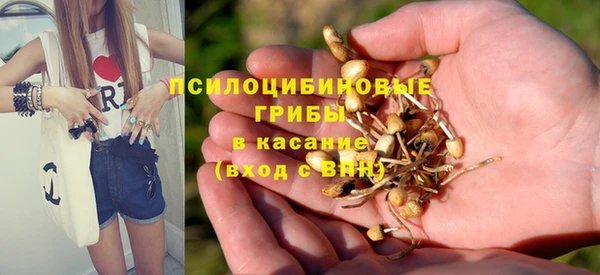 не бодяженный Беломорск
