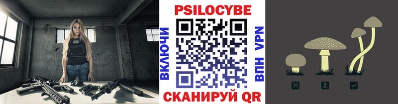 продажа наркотиков  Купино  Псилоцибиновые грибы прущие грибы 